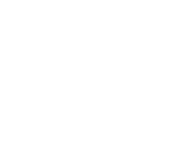 Aipom