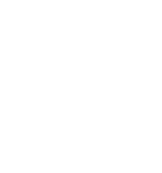 Arctovish