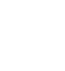 Arktos (Galar-Form)