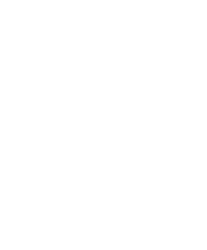 Audino