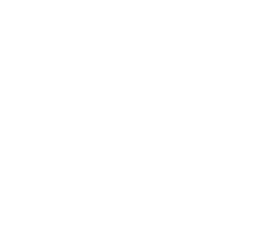 Bouffalant