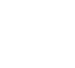 Braviary