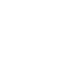 Wormadam (Plant Cloak)