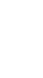 Burmy (Sandumhang)