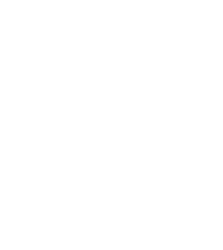 Buzzwole