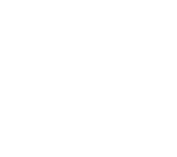 Dartrix