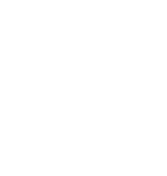 Deoxys (Speed Forme)