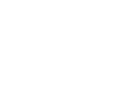 Druddigon