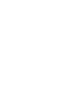 Dubwool