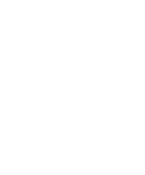 Aegislash (Shield Forme)