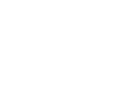 Excadrill