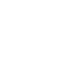 Gigantamax-Eevee
