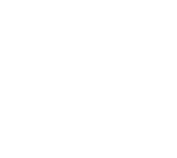 Gumshoos