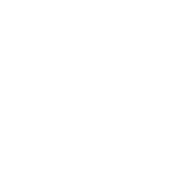 Hitmontop