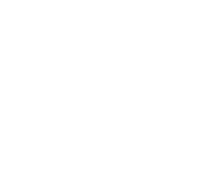 Infernape