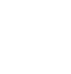 Krookodile
