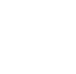Litleo