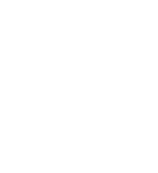 Mega-Beedrill
