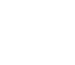 Mega-Charizard X