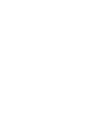 Mega-Blaziken