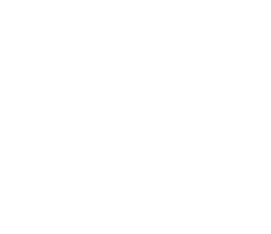 Mega-Metagross