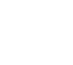 Mega-Rayquaza