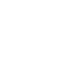 Mega-Steelix