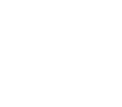 Mega-Swampert