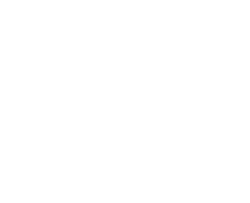 Mega-Pidgeot