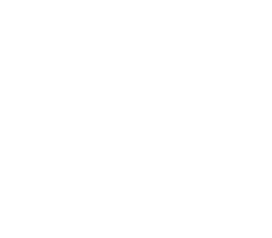 Mega-Manectric