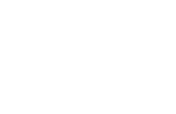 Metagross