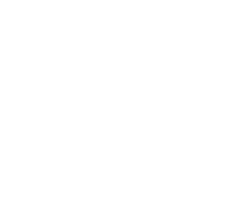 Minccino
