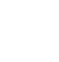 Mudkip
