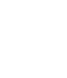 Oricorio