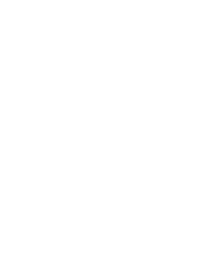 Pachirisu