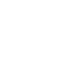 Passimian