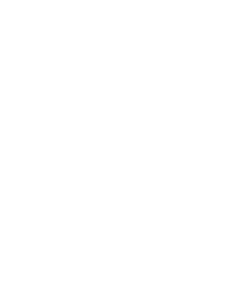 Perrserker