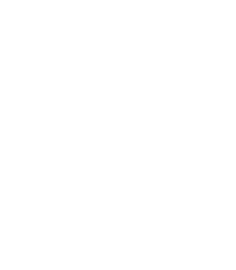 Pichu