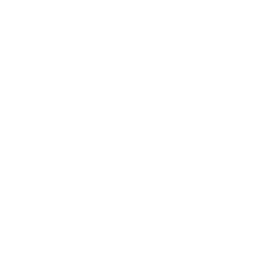 Pidgeot