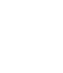 Pidgeotto