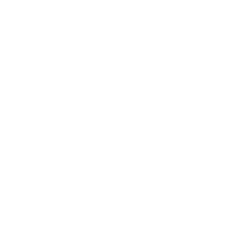 Pinsir