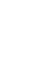 Poipole