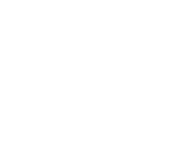 Raikou