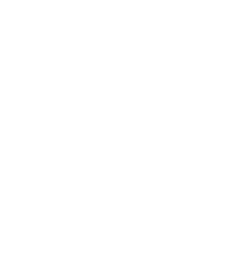 Rapidash