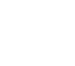 Rattata