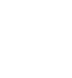 Rhyhorn