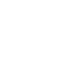 Riolu