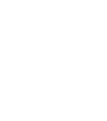 Salandit
