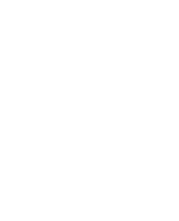 Scizor