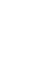 Scorbunny